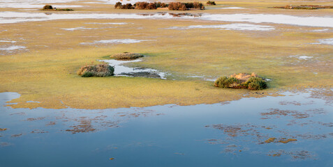 Marshes. Panoramic of National Nature Reserve of Lilleau des Niges
Ré Island. Les Portes-en-Ré, Francia