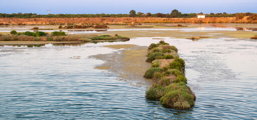 Marshes. Panoramic of National Nature Reserve of Lilleau des Niges
Ré Island. Les Portes-en-Ré, Francia