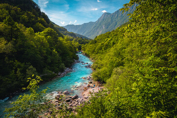 Winding Soca river in the green forest near Kobarid, Slovenia