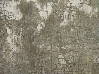 Vitrage gordijnen Verweerde muur texture