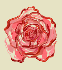 The opened rosebud. Pink rose flower. Brush strokes. Retro illustration on an isolated background. Vector.
