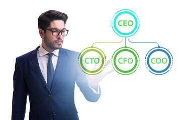Businessman in the organisation chart concept