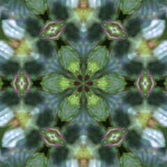Green background