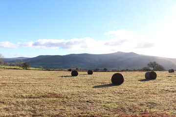 A photograph of hay bales on a farm on an autumnal day. Rural landscape scene in Wales, with Pen y...