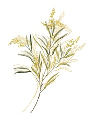 Fototapeta premium Watercolor botanical clipart with green botanical branch and gold line branch 