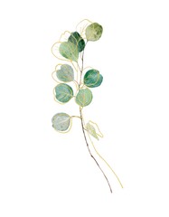 Fototapeta Watercolor botanical clipart with green botanical branch and gold line branch obraz