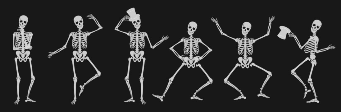 Dancing Human bones skeletons. Different skeleton poses set isolated on black dark background vector illustration.