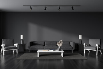 Front view on dark living room interior with grey wall