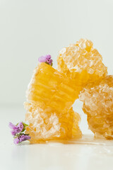 Honeycomb full of fresh honey in a white bowl. Honeycomb with honey deeper and wild flowers on the white background