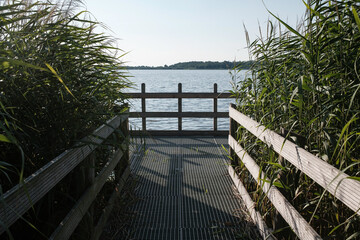 Pier in high reeds on the background of the lake, on a sunny day.