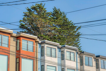 Townhouses exterior with electric cables at the front and tree at the back in San Francisco, CA