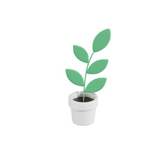 Ficus Pomila Plant 3D Illustrations