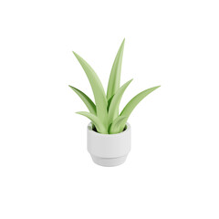 Aloevera Plant 3D Illustrations