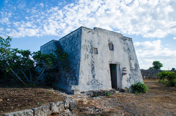 Fototapeta na wymiar Un'antica masseria abbandonata con dietro degli ulivi nella campagna del Salento, in Puglia
