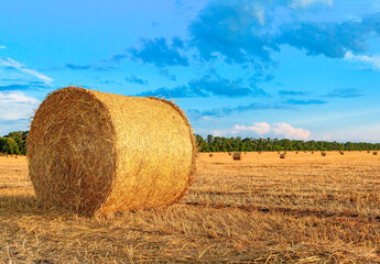 a roll of hay bale of straw in the middle of a field on a summer day under
a blue sky