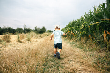 Boy running outdoor. Happy child running on a road near corn field. Childhood, summertime, dreaming concept