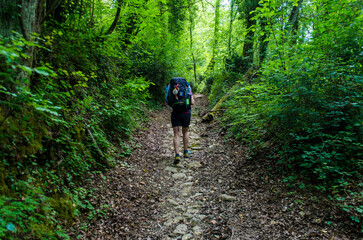 Una pellegrina cammina in mezzo a un bosco lungo la Via del Volto Santo, cammino che parte da Pontremoli e arriva a Lucca
