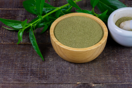 Andrographis paniculata powder in wooden bowl with mortar and pestle and green leaf on rustic wooden background.