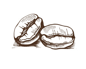 Two coffee beans. Hand drawn vector illustration.