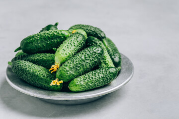 Cucumbers. Fresh green organic cucumbers in bowl on gray background.
