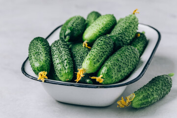 Cucumbers. Fresh green organic cucumbers in bowl on gray background.