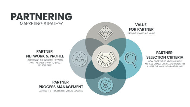 Partnering concept for Go-To-Market GTM marketing strategy infographic template has 4 steps to analyze such as partner network and profile, value for partner, process management and selection criteria