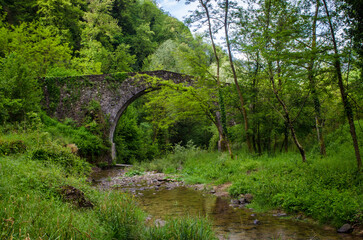 Il tipico ponte medievale a schiena di asino detto anche ponte gobbo, in Garfagnana lungo la Via...