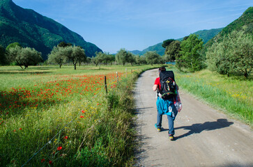 Una pellegrina cammina lungo la ciclabile che segue la valle del fiume Serchio lungo la Via del Volto Santo, cammino che parte da Pontremoli e arriva a Lucca