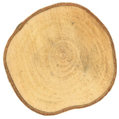 tree trunk cross section transparent PNG