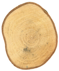 tree trunk cross section transparent PNG