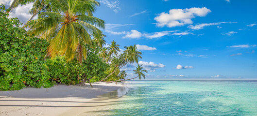 Summer travel background. Exotic tropical beach island, paradise coast. Palm trees white sand,...