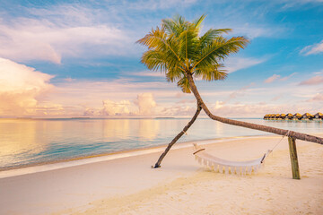 Relax vacation leisure lifestyle on exotic tropical island beach, palm tree hammock hanging calm sea. Paradise beach landscape, water villas, sunrise sky clouds amazing reflections. Beautiful nature