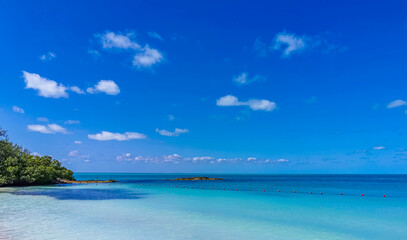 Fototapeta na wymiar Beautiful tropical natural beach paradise panorama Contoy island Mexico.