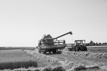 wheat field with harvester and tractor