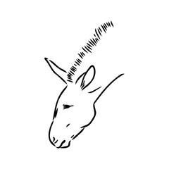 Fototapeta na wymiar Vector illustration of hand drawn donkey, isolated on white background. Farm animals collection.