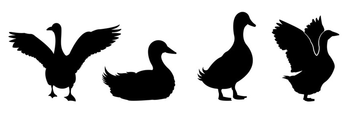 A set of duck vector silhouettes isolated on a white background.