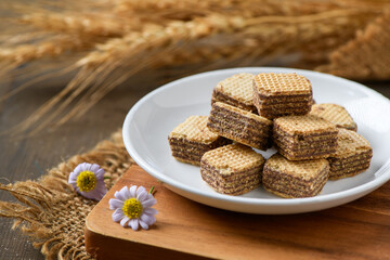 square chocolate wafer biscuits in white dish with flower barley background