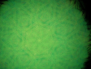 Imaginatory fractal abstract background Image