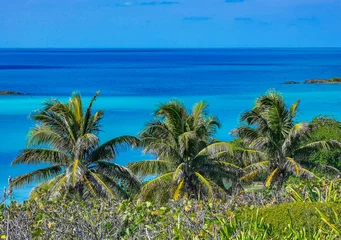 Papier peint photo  Beautiful tropical natural beach and forest panorama Contoy island Mexico.  © Arkadi