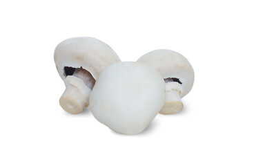 Fototapeta na wymiar White agaricus isolated on a white background. Ripe mushrooms