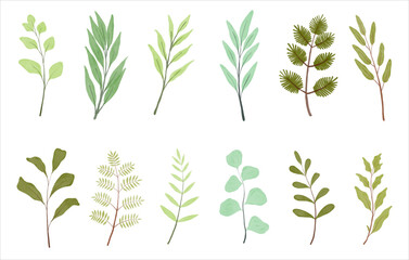 floral watercolor leaf decoration element. wildflower branch vector illustration. wreath border decoration