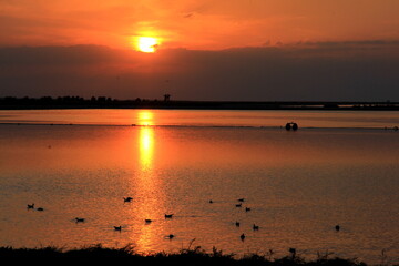 Sunset on the calm water of tha saline
