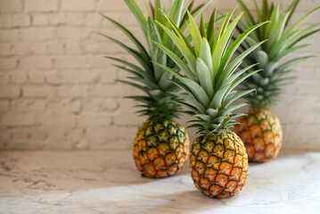 freshly harvest organic pineapple on white table background.