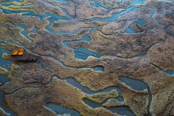 texture of the stone