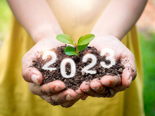 Close-up the shining 2023 year numbers calendar on organic soil in the hands while holding young...