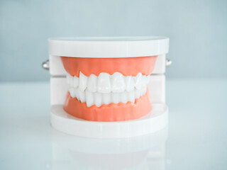 Close up of denture tooth, front view ,acrylic human jaw model on white table isolated on grey background. Plastic artificial human teeth for studying oral hygiene in the dental clinic.