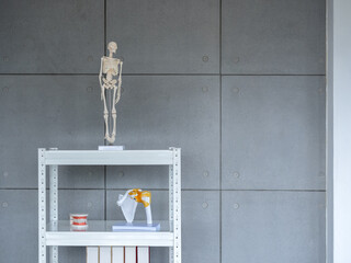 Orthopedic doctor office background decoration with skeleton body, scapula and teeth model on bookshelf on grey background with copy space. Interior of modern doctor's office in clinic. - obrazy, fototapety, plakaty