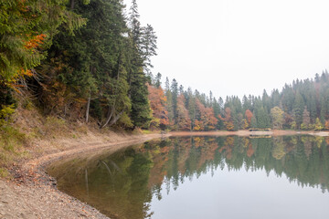 Fototapeta na wymiar Lake in mystery fog with autumn forest. Ghostly mountain lake. Ukrainian lake Synevir