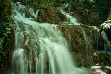 waterfall inside forest