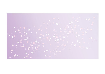 White Pink flying petals isolated on soft Purple gradient background. Sakura Roses petals. Vector